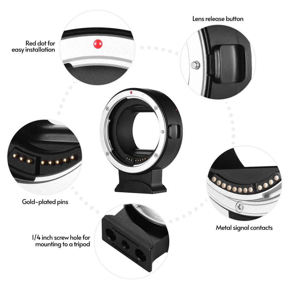Adaptador de montagem EOS R Le - Canon Camera Eos R50 avaliação e preço